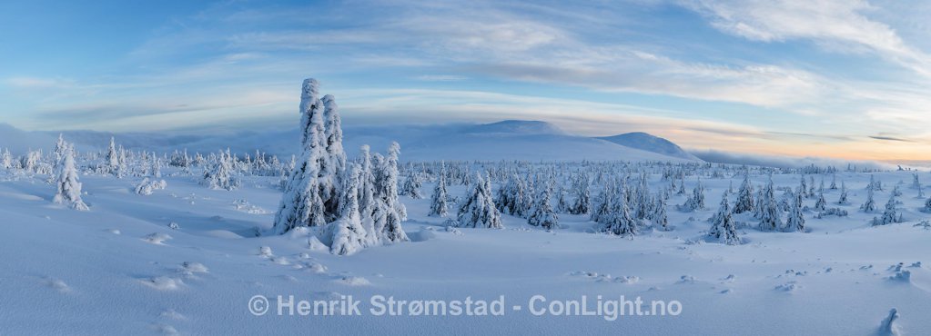 Winter Trysil, Norway 009