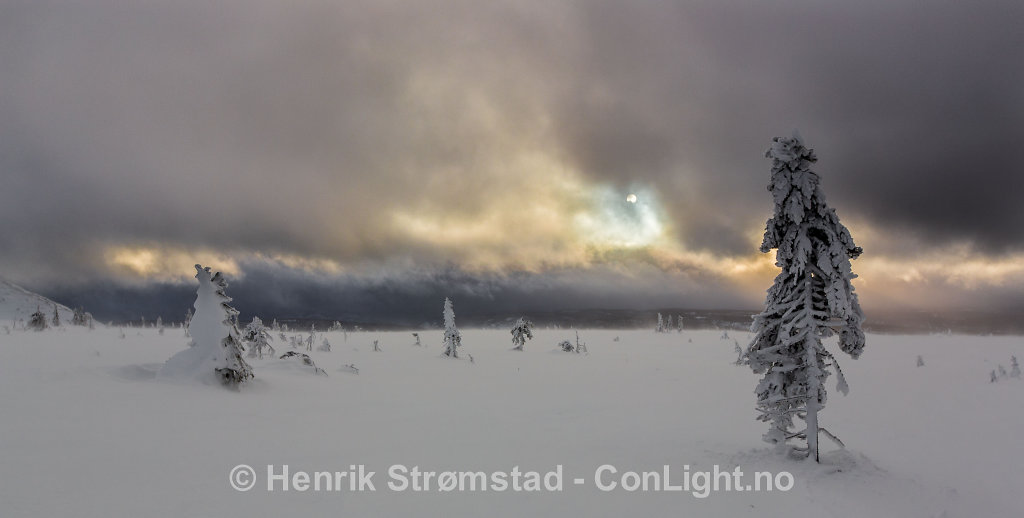 Storm, Winter in Trysil, Norway 001