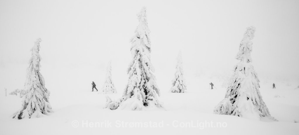 Skiers, Winter in Trysil, Norway 003