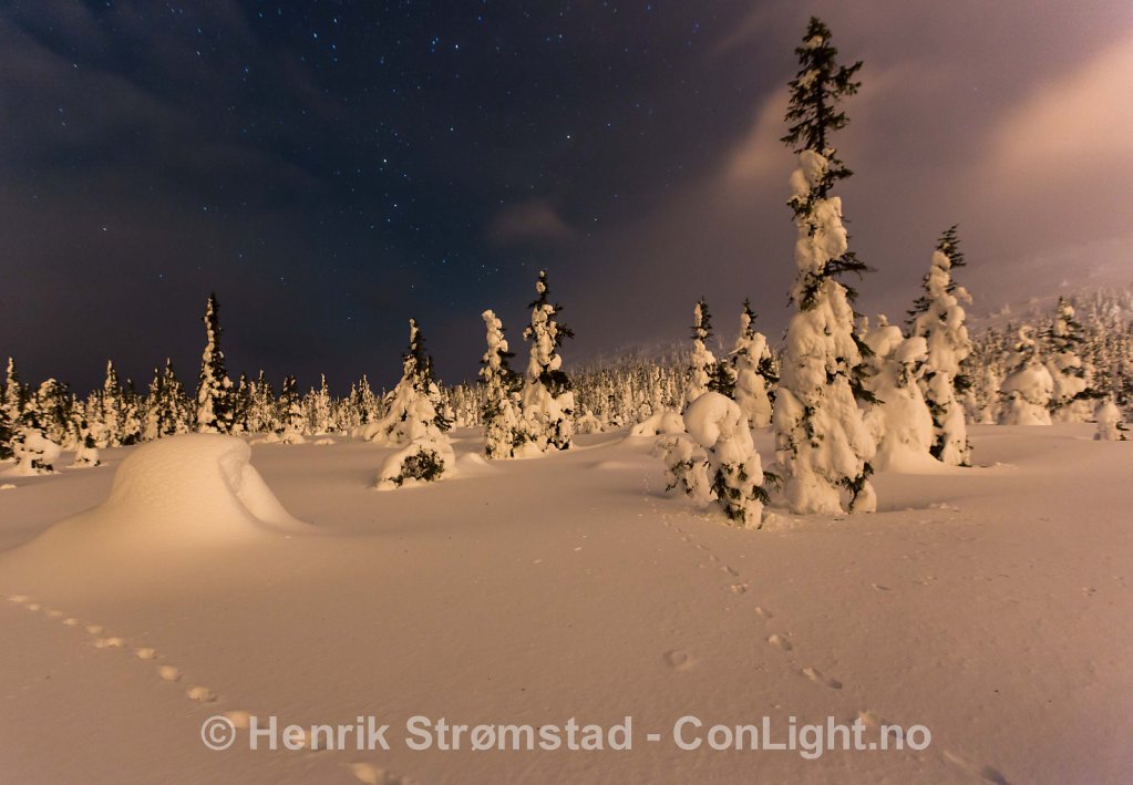 Night, Winter in Trysil, Norway 001