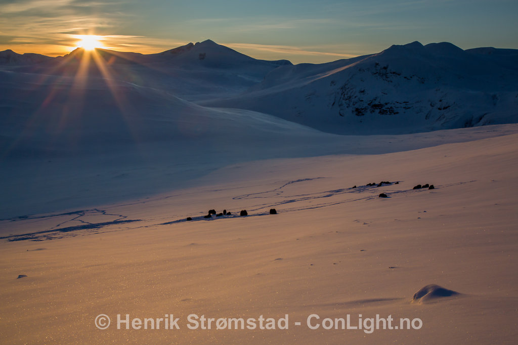 160305-Dovre-0179-Edit.jpg